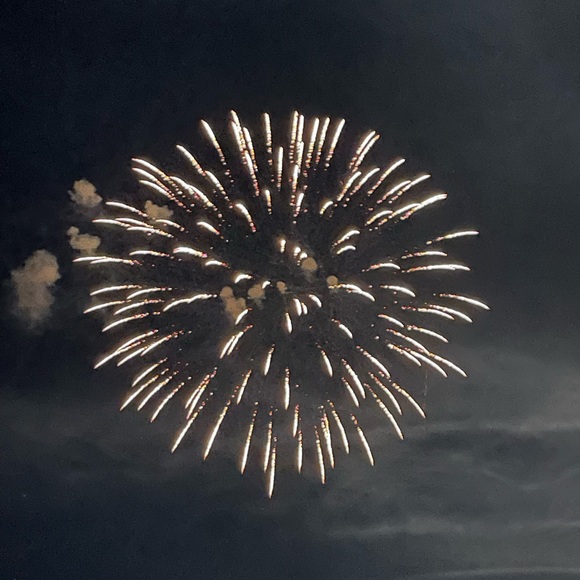 NEW reduced UGG Silver Water repellent Puffer jacket, size S, XS - Picture 17 of 17